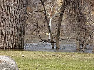 looking out into the Minnesota River, the Judson Bottom Road is in the background 4/14/01