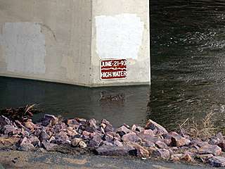 notice the 1993 high water marker on the North Star bridge 4/16/01